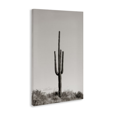  «Clear Af après-midi, cactus» par Nathan Larson