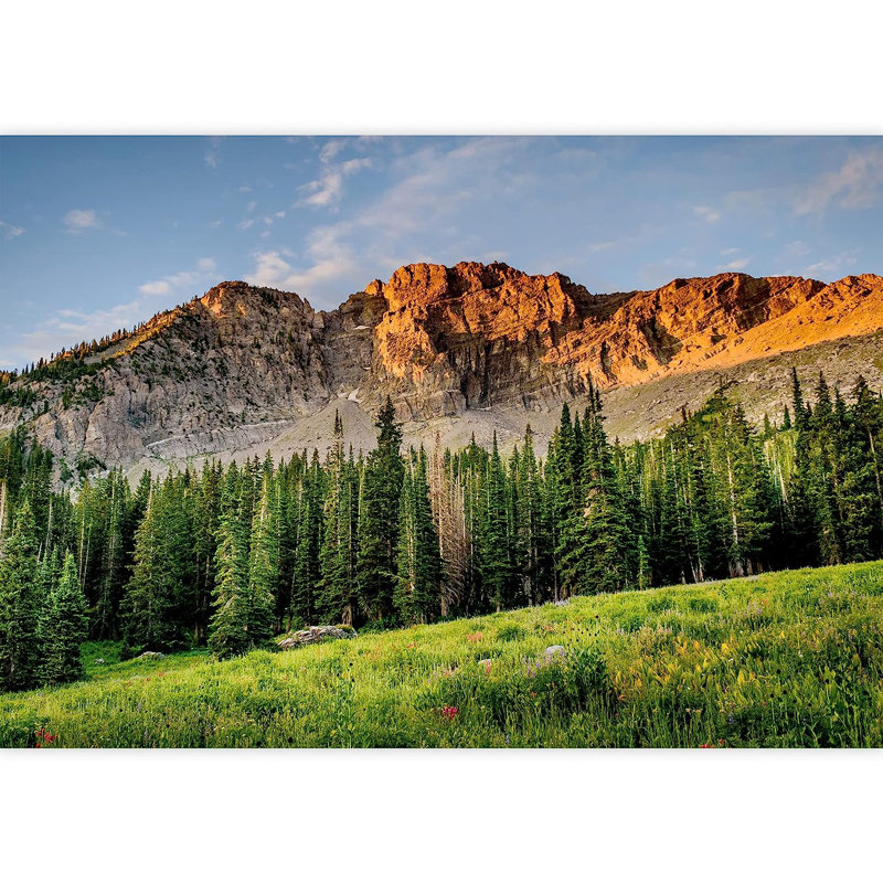 Mountain Range Pine Tree Country Field, 100" L x 144" W