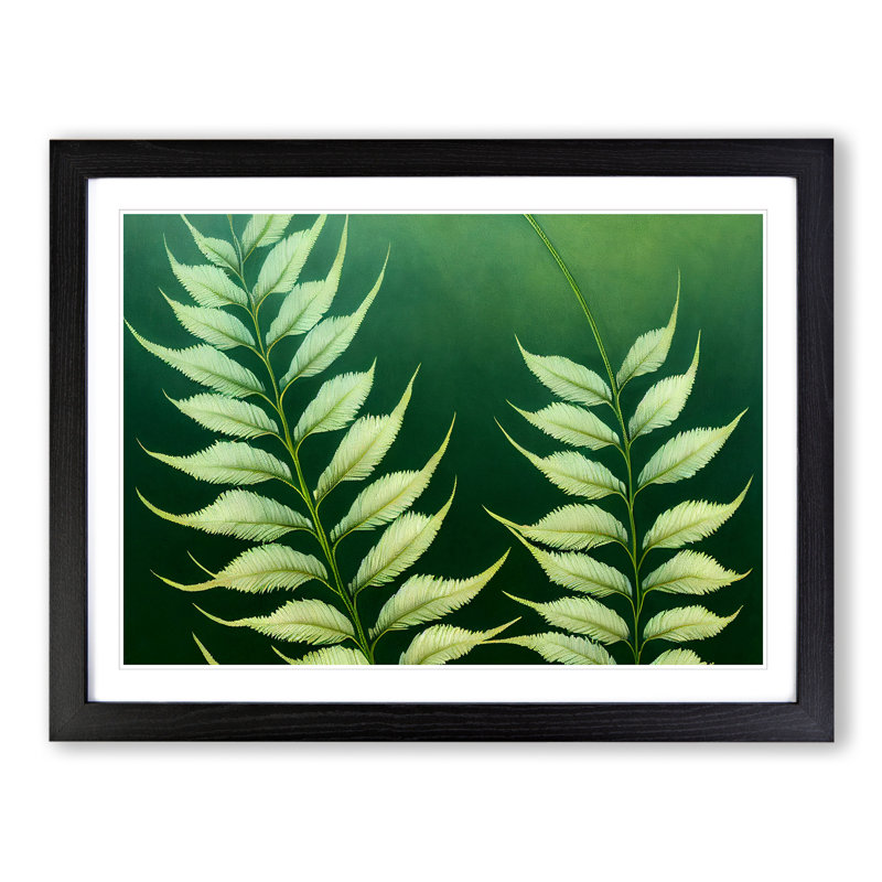 Enviable Fern Leaf - Single Picture Frame Print, Black, 46cm H x 64cm W