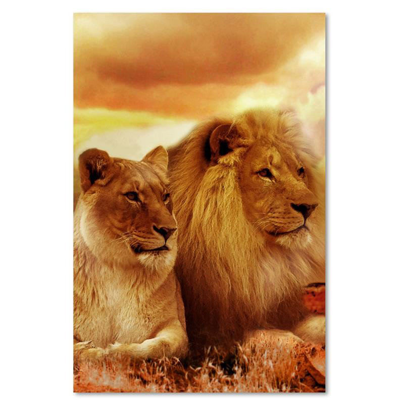 King Lion And Lioness' - Wrapped Canvas Print, 90cm H x 60cm W