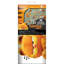 The Garfield Movie Wall Decals