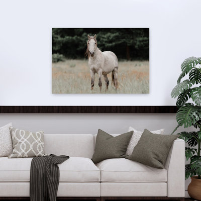 «Majestic Gray Horse Peaceful Serene Contemporary Horse Nature Portrait», reproduction d'art