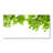 Oak Leaves - No Frame Print on Canvas