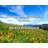 Artsy Quote "It is the end result that counts." By Alexey Brodovitch Gallery Wrapped Canvas-1360063755