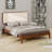 Modern Platform Bed Featuring Upholstered Headboard