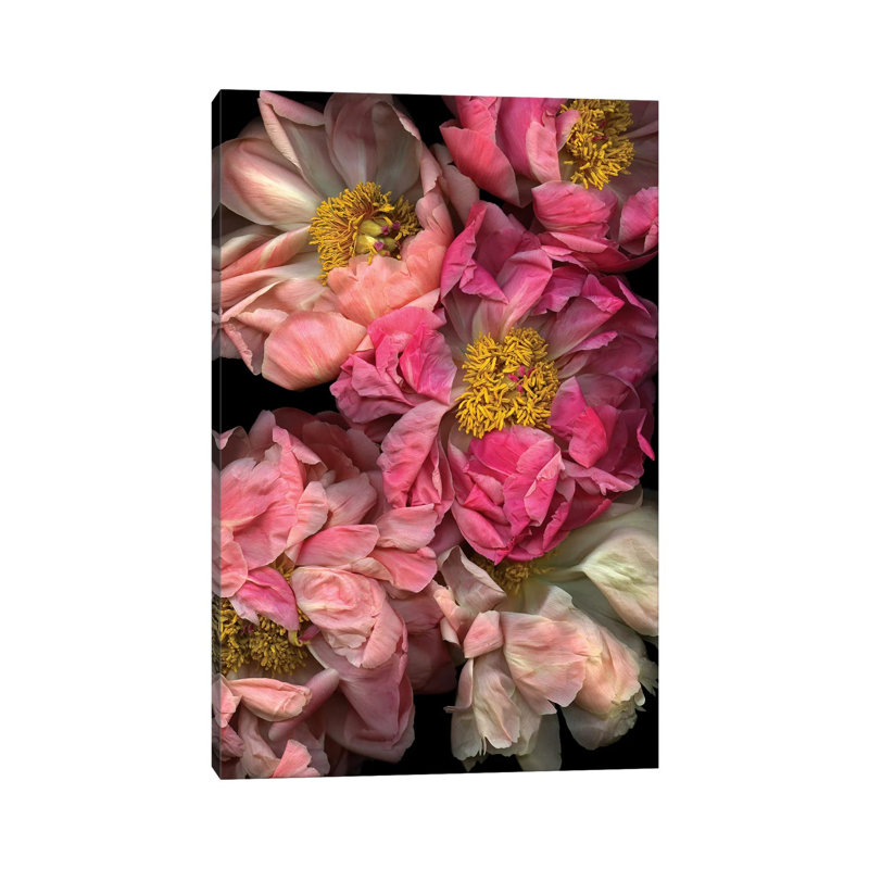 Pressed And Pretty by Honeymoon Hotel - Wrapped Canvas Print, 152.5 cm H x 101.5 cm W