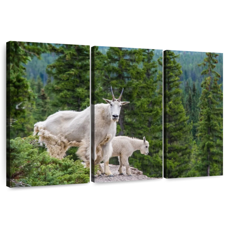 Brampt Cliff Mountain Goats, 48" H x 74" W