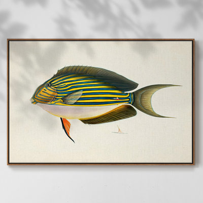 «Tropical Fish Collection I», reproduction sur toile