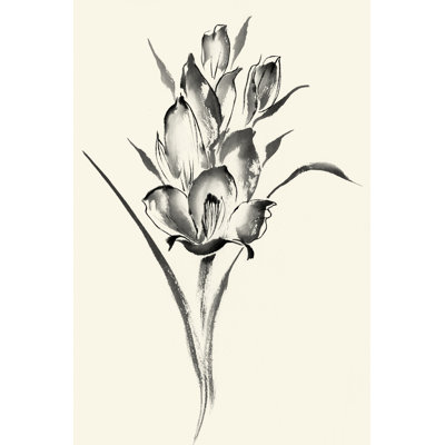 Encre florale II - Glaïeul