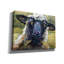 «Bless Ewe» par CR Townsend-101609427
