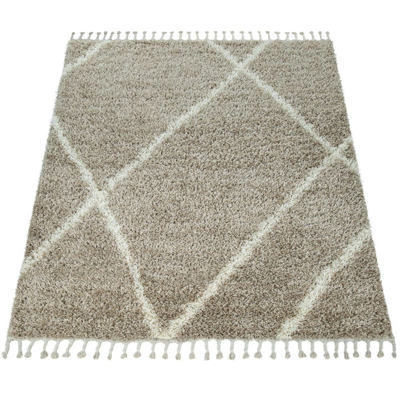 Forteau Geometric Shag Area Rug, Rectangle 240 x 340cm
