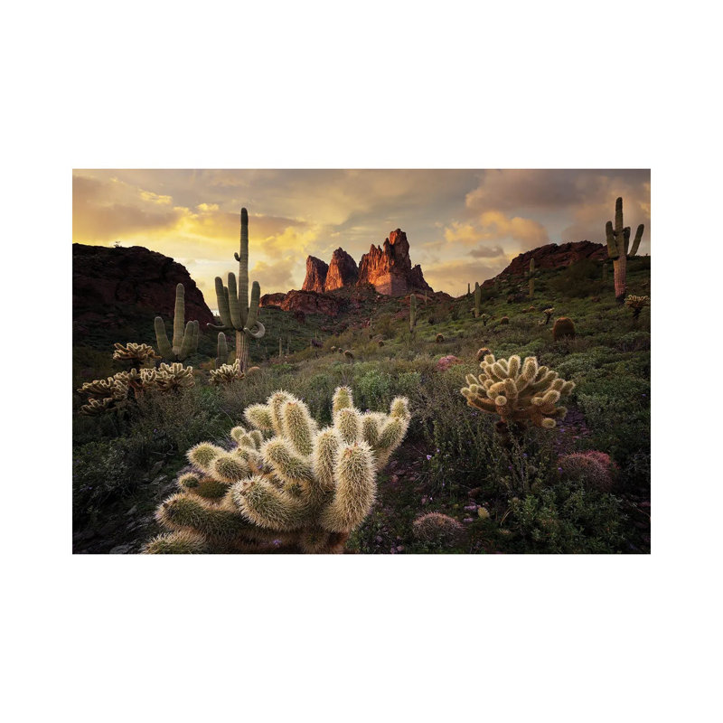 Arizona Desert Sunset, 40" H x 60" W x 1.5" D, Canvas