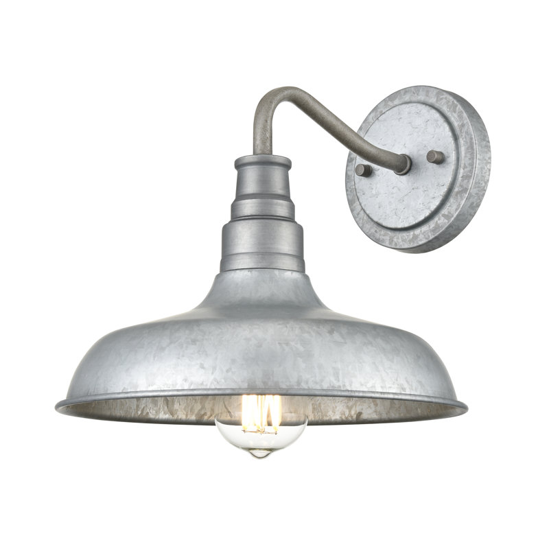 Luminaire de grange d'extérieur à 1 ampoule H 10 po Mckown, Galvanisé