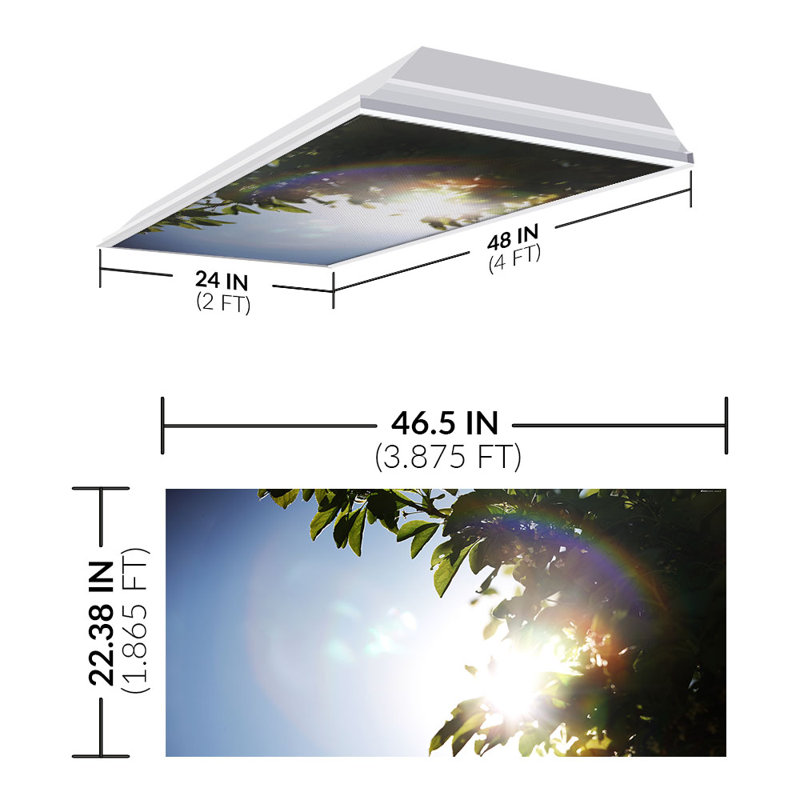 Tree Classroom Fluorescent Light Covers for Ceiling Lights - For 2x4 Light Fixture - by Octo Lights