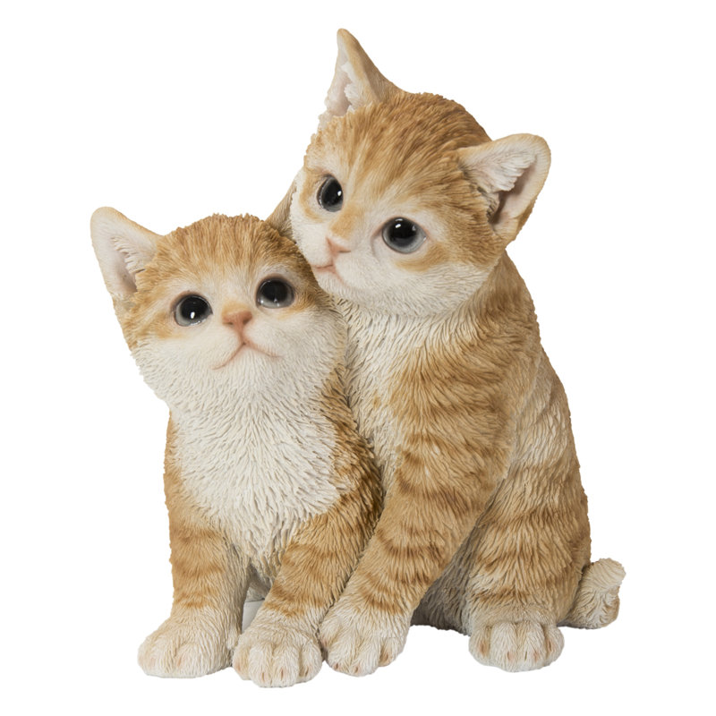 Chatons étreignant, Orange