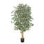 Faux Ficus Tree in Pot-1879489429