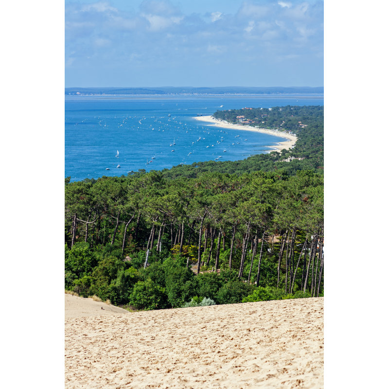 View From Dune by Tree4Two - Wrapped Canvas Print, 30cm H x 20cm W
