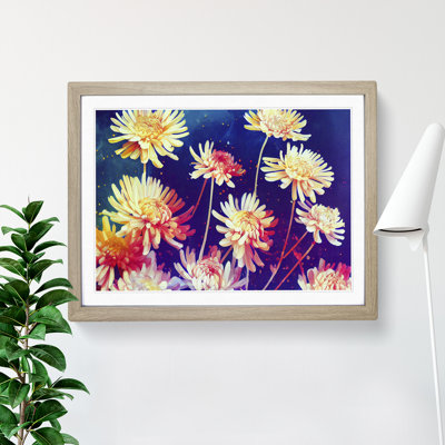 Vibrant Chrysanthemum Flowers - Framed Print