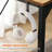 Mathabane Metal Base Computer Desks-1228779143-1228779146