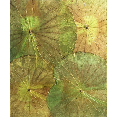 « real lotus », reproduction d’art
