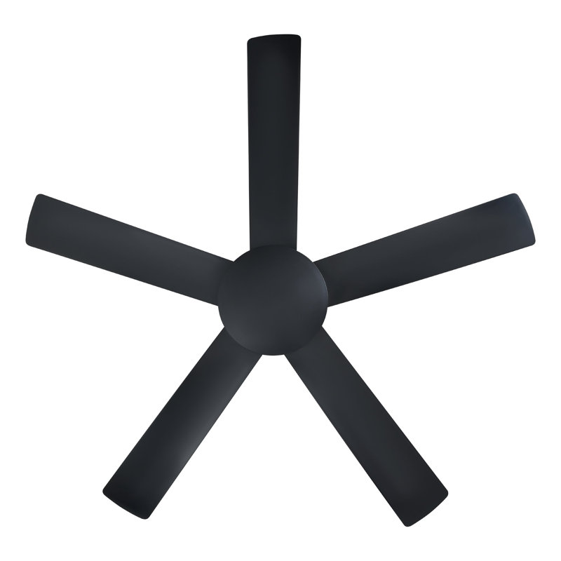 Adamsdale 52 inch Ceiling Fan, Black