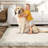 Modern Machine Washable Area Rug with Border, Stain Resistant & Non-Slip, Minimalist Farmhouse Accent Rug for Dining Room, Office, Bedroom-1222027515