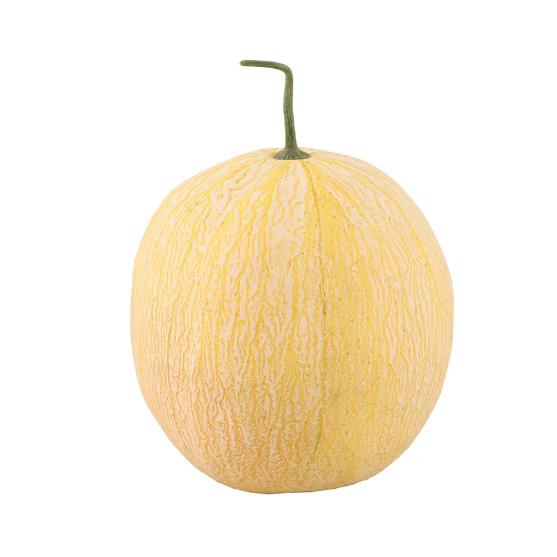 Cosalino Cantaloup, Jaune