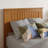 Darlean Solid Wood Trundle Platform Bed with Footboard & Roll Out Trundle-119533552-119533562