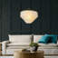 Addieville 6-Light Unique/Statement Coastal Natural Round Capiz Shell Chandelier in Antique Gold