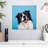 Crowle Happy Border Collie-111896724