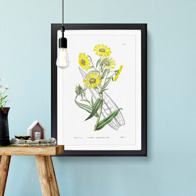 Yellow Daisies - Picture Frame Painting Print, 48cm H x 36cm W x 2cm D, Black Framed