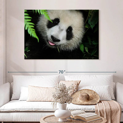 Panda Surprise