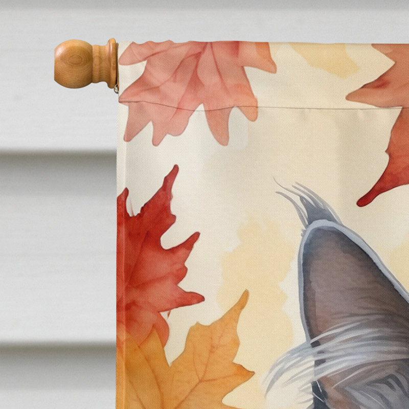 Chat en feuilles d'automne, Nebelung