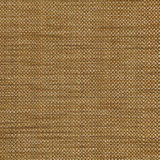 Fiero Fabric