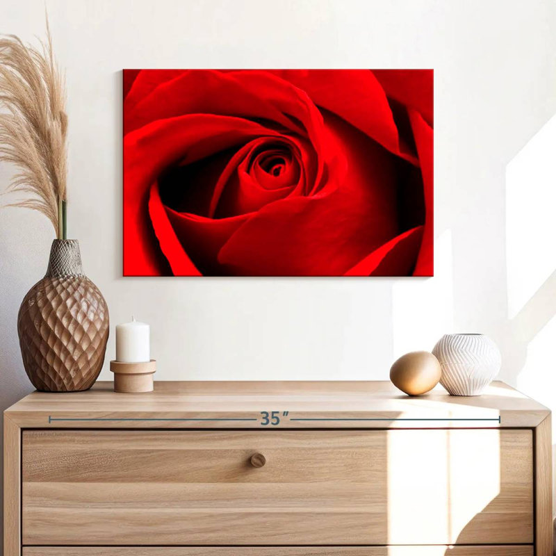 Harnek, gros plan d'une rose rouge, H 16 po x l 24 po