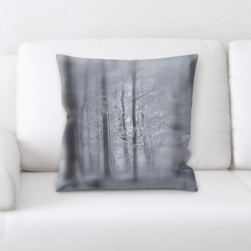 Coussin décoratif flou