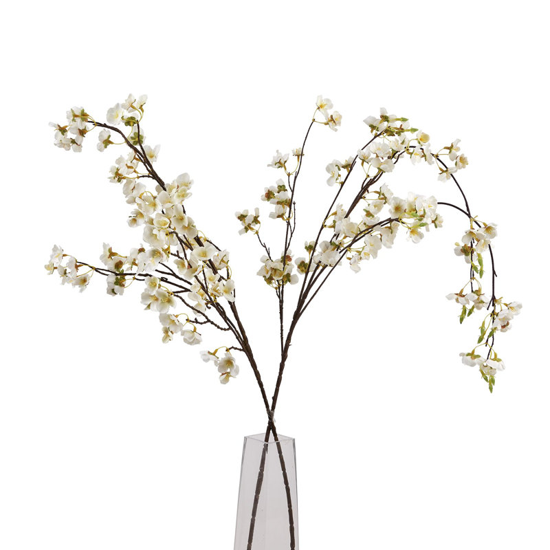 Anastasija Arrangement