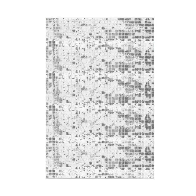 Elver Machine Woven Polyamide Area Rug in Gray/White, Rectangle 2'7" x 4'11"