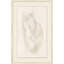 Male Nude 4' Framed Print on Glass