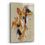«Basenji» par Barbara Keith, impression sans cadre-1430257031