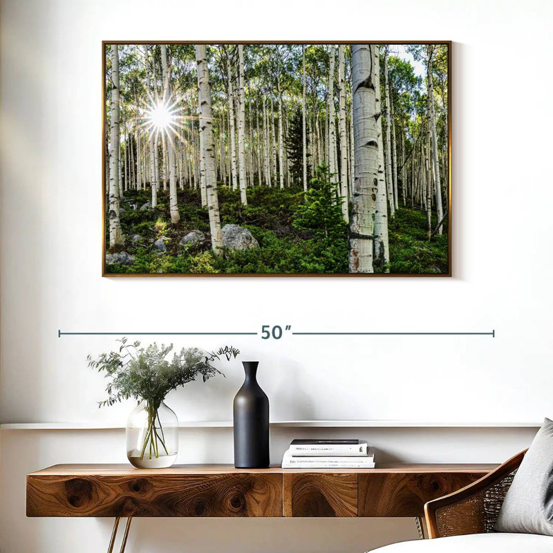 Aspen Forest Sunburst, Cadre flottant doré, 40 po x 27 po