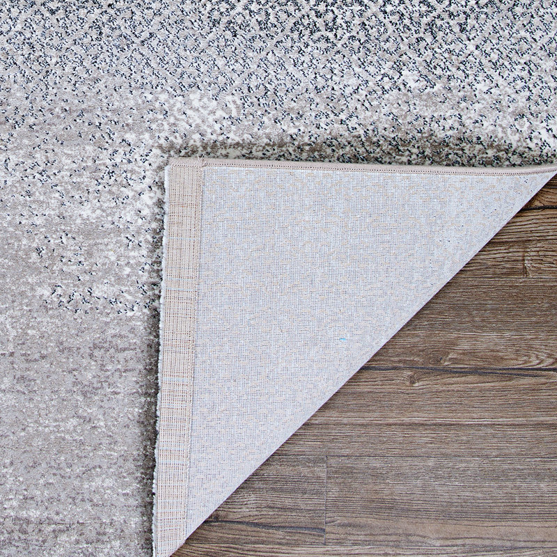 Parmley Ombre Indoor Rug, Rectangle 2' x 3'11"