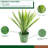24 " H Faux Yucca Succulent in Plastic Planter