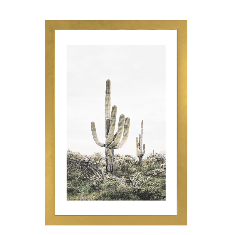 « rosé timide cactus », photographie, H 24 po x l 16 po x P 1 po, Papier encadré doré