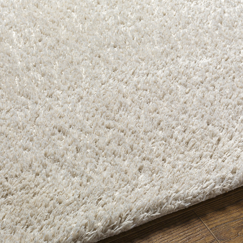 Lizan Shag Area Rug, Rectangle 160cm x 213cm
