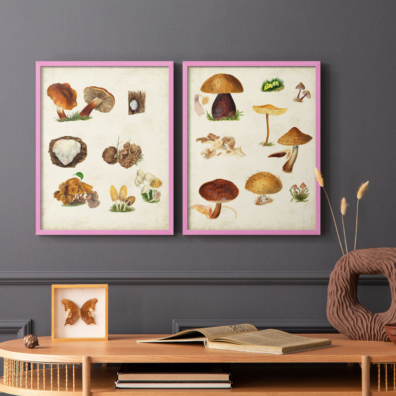 Reproduction encadrée de champignon I-Premium - prêt à être accroché - aucun clou requis - aucun clou requis, Rose