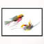 Illustration d'oiseaux volants - reproduction sur toile-26692676