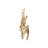 Aviary Gold Wall Sconce