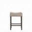 Ensemble de 2 tabourets à hauteur de comptoir Contemporary-1334189701