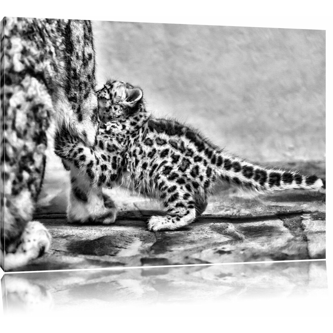 Leinwandbild Kleiner Leopard beim Spielen in Monochrom